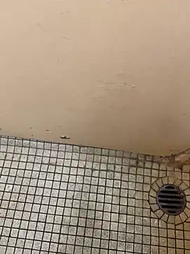 Snapshot of DreamerAsianGuy chatting on 12-25-24, 12:16 DreamerAsianGuy online show from 12-25-24, 12:16