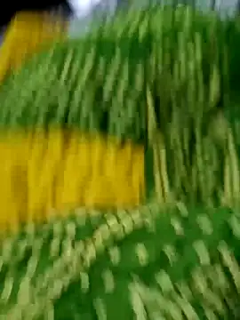 wrong man25 online show from 02-24-25, 09:09