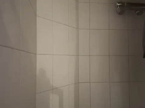 dennisnl93 online show from 02-16-26, 04:16