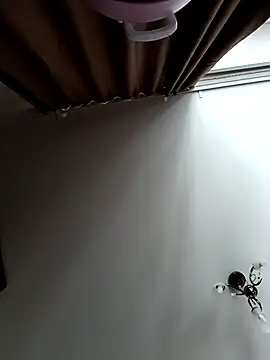 Snapshot of Lovers__Annn chatting on 03-09-26, 03:10 Lovers Annn online show from 03-09-26, 03:10