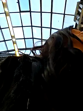 LeticiaWoods online show from 11-27-25, 10:48