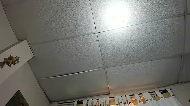 davidlatin66 online show from 03-12-26, 08:46