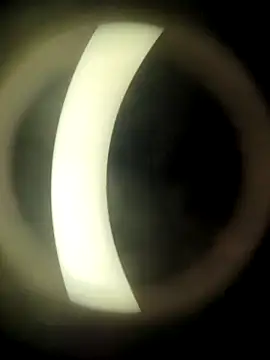 Snapshot of HotWifeNisha chatting on 12-21-24, 08:54 HotWifeNisha online show from 12-21-24, 08:54