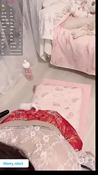 Snapshot of Sherry_niko chatting on 11-15-25, 01:37 Sherry niko online show from 11-15-25, 01:37