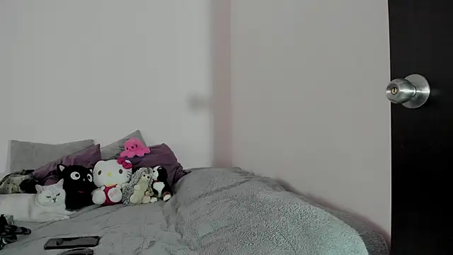 Snapshot of Room312_ chatting on 05-24-26, 04:29 Room312 online show from 05-24-26, 04:29