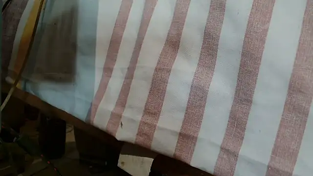 Vanessa117 online show from 01-10-26, 06:36