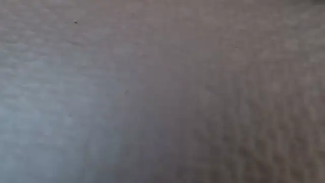 TsSandyx online show from 04-30-26, 10:22