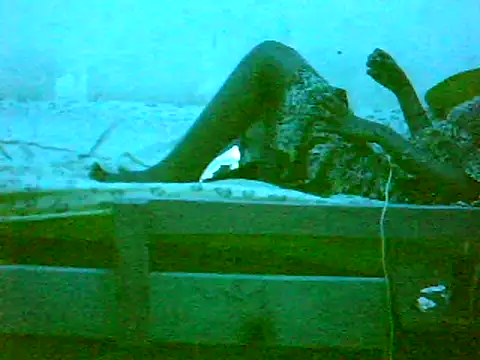 De maskedcouple online show from 01-11-25, 10:29