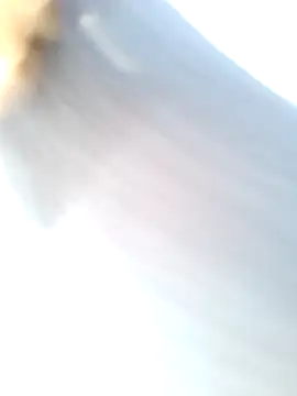 mustican422 online show from 02-25-25, 10:04