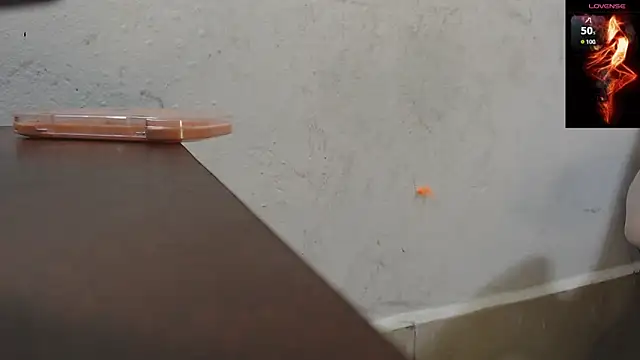 toxxxic cams online show from 11-22-25, 04:33