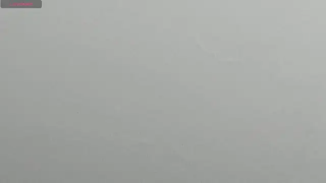 Snapshot of natasha_logan_ chatting on 03-11-25, 03:58 natasha logan online show from 03-11-25, 03:58