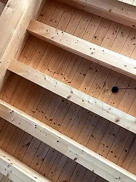 Fellix online show from 01-07-26, 11:15