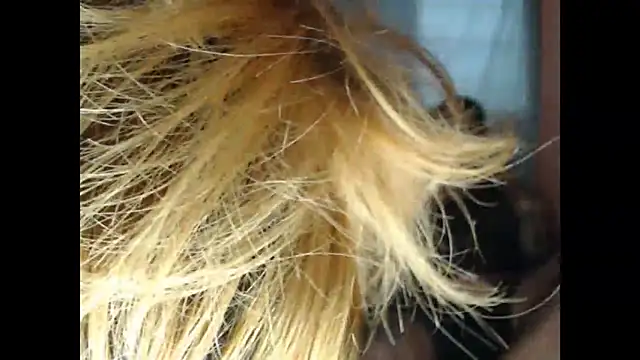 lover 1994 online show from 03-27-26, 12:06