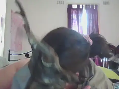 ellieXXXbaby online show from 12-14-24, 12:55