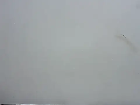 prettybeee online show from 11-04-25, 09:40