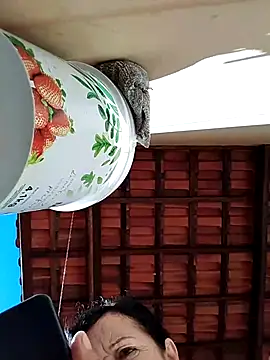 mariy522 online show from 05-12-26, 11:49