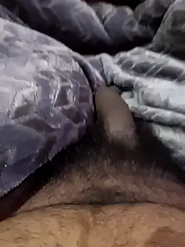 Naughtyforpussy online show from 01-12-26, 05:31