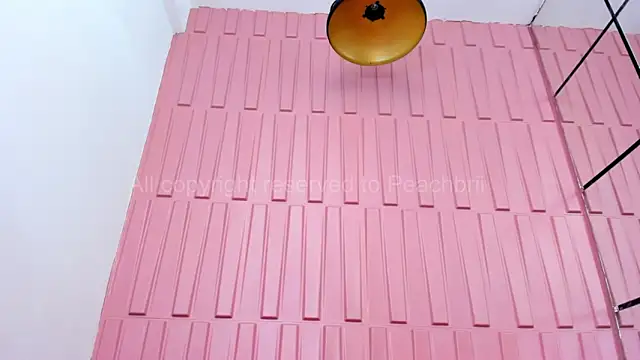 Briana Wells  online show from 10-06-25, 01:34