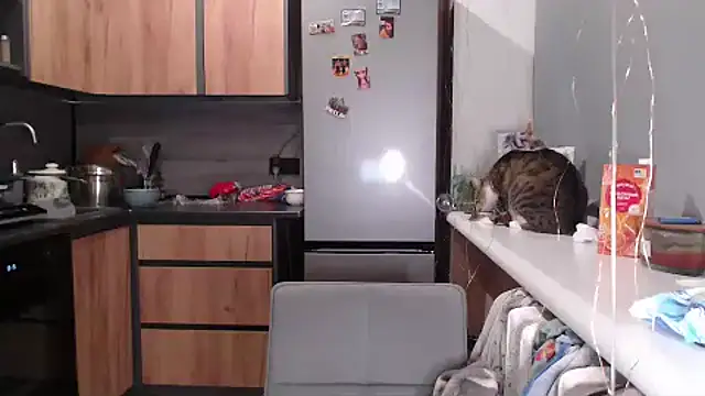 delightful sofi online show from 03-27-26, 06:20