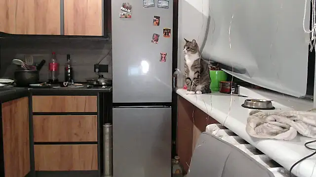 delightful sofi online show from 10-07-25, 05:47