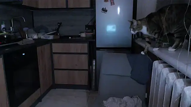 delightful sofi online show from 03-17-26, 08:56