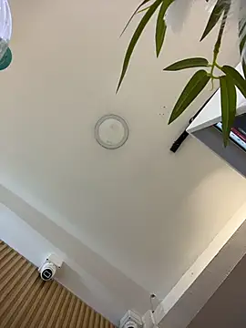 clarachanelricek online show from 03-09-26, 08:23