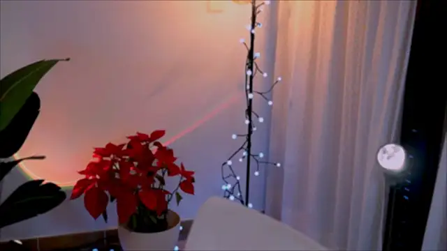 Snapshot of anabelcurvy chatting on 01-02-25, 05:18 anabelcurvy online show from 01-02-25, 05:18
