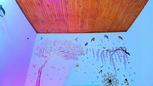 Sofiia Diiaz online show from 11-27-25, 01:22