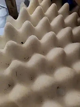 Leonelusxh online show from 09-17-25, 05:15