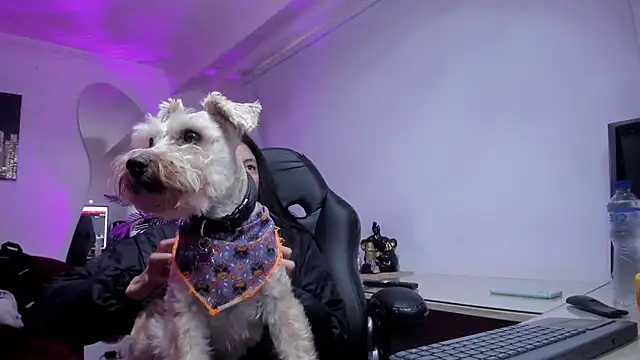 Meghan320 online show from 11-15-25, 11:36