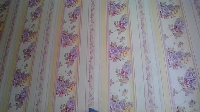 Skills  online show from 12-05-24, 05:21