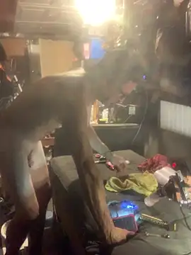 Likewise online show from 02-04-26, 04:46