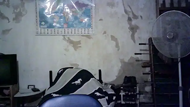 Emv2 online show from 11-26-25, 04:56