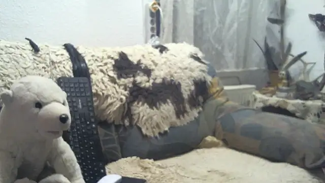 SexySantaC online show from 12-16-25, 09:08