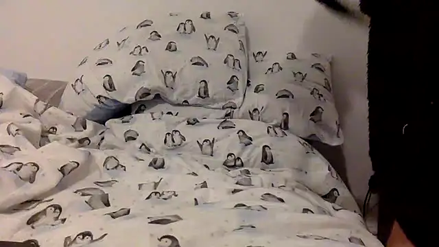 bigguy101 online show from 11-22-25, 03:38