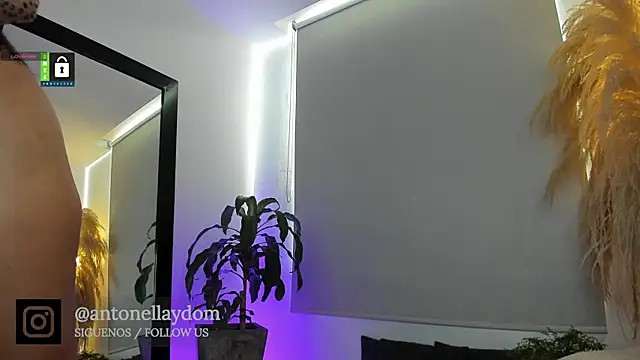 antonella dom1 online show from 01-07-26, 06:24