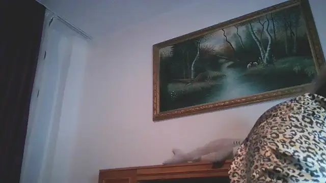 nicholle online show from 12-30-24, 10:55