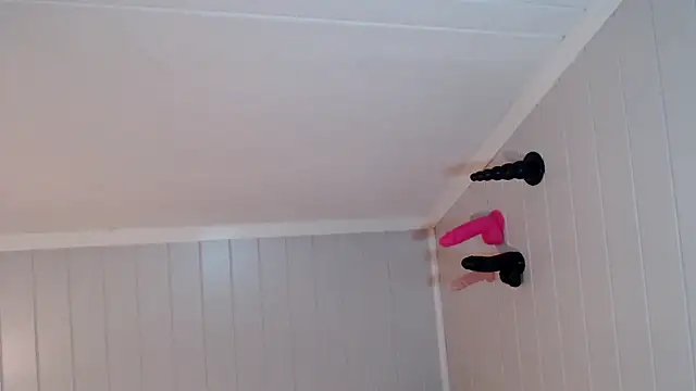 Snapshot of kittyazora chatting on 10-05-25, 05:03 kittyazora online show from 10-05-25, 05:03