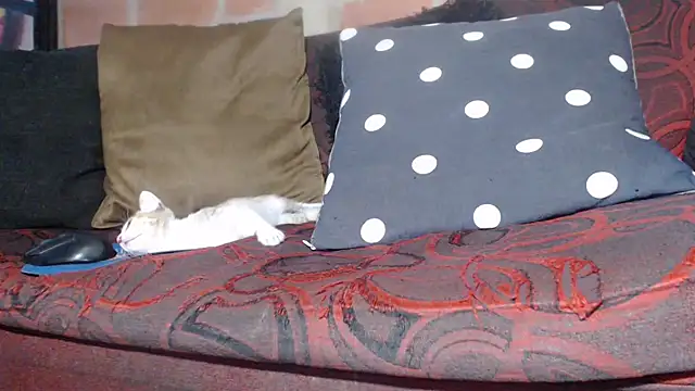 DevoraAmateur online show from 02-22-26, 07:04