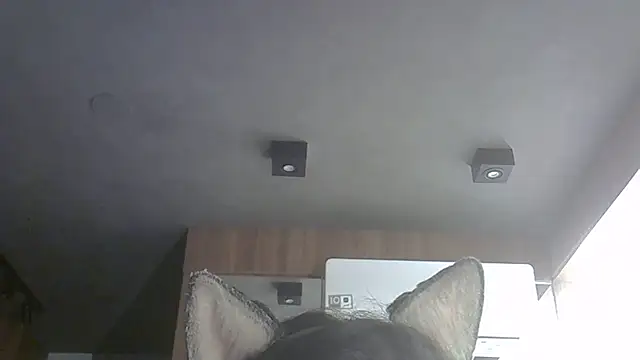 Skinny-Kitten online show from 10-27-25, 06:58