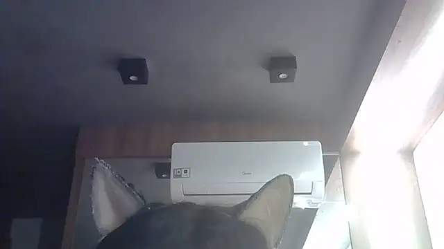 Skinny-Kitten online show from 05-28-26, 04:57