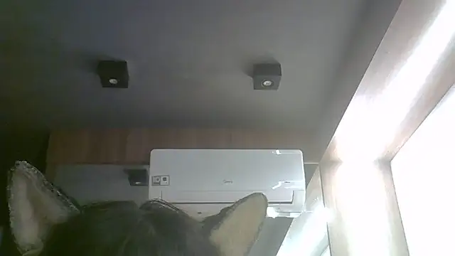 Skinny-Kitten online show from 06-17-26, 03:44