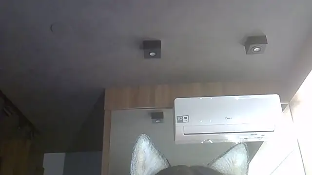 Skinny-Kitten online show from 12-22-25, 01:06