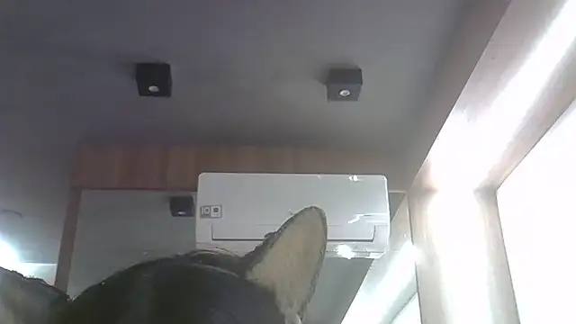 Skinny-Kitten online show from 06-25-26, 11:32