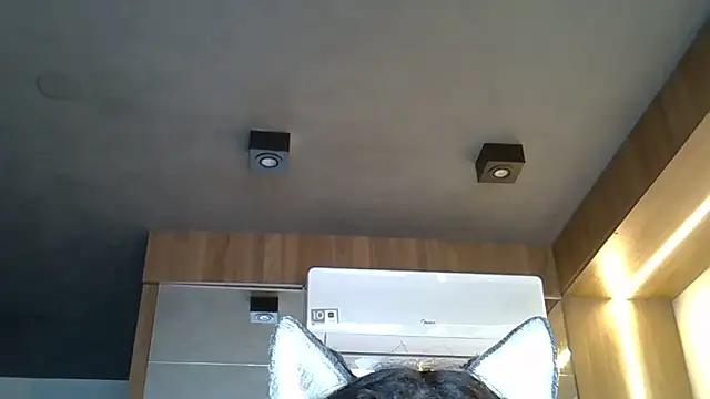 Skinny-Kitten online show from 11-01-25, 09:36