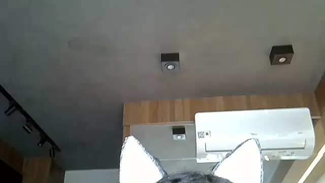 Skinny-Kitten online show from 11-09-25, 05:06