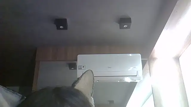 Skinny-Kitten online show from 05-30-26, 11:10