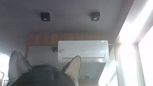 Skinny-Kitten online show from 06-04-26, 11:42
