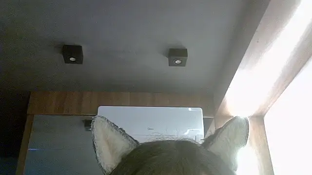 Skinny-Kitten online show from 07-16-26, 04:48
