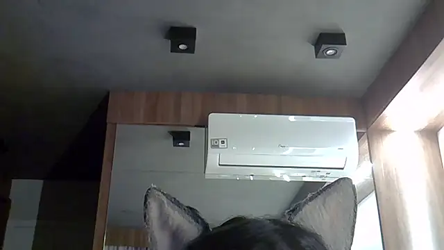 Snapshot of Skinny-Kitten chatting on 09-30-25, 09:32 Skinny-Kitten online show from 09-30-25, 09:32